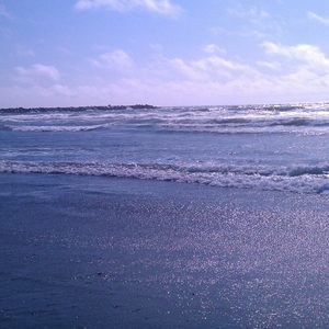 Meet your Posher, Penny